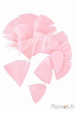 Petali a goccia in piume - 6-8 x 3-4 cm - rosa tenue
